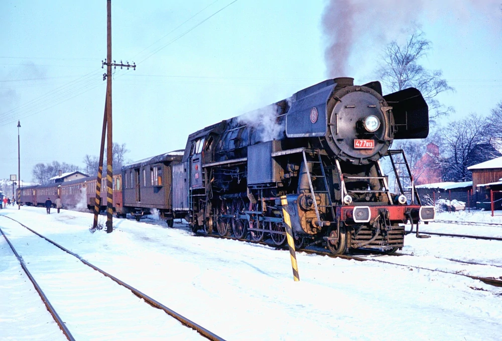 477.013 Papoušek H0