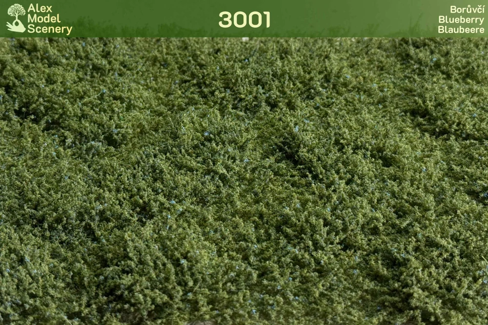 Borůvčí