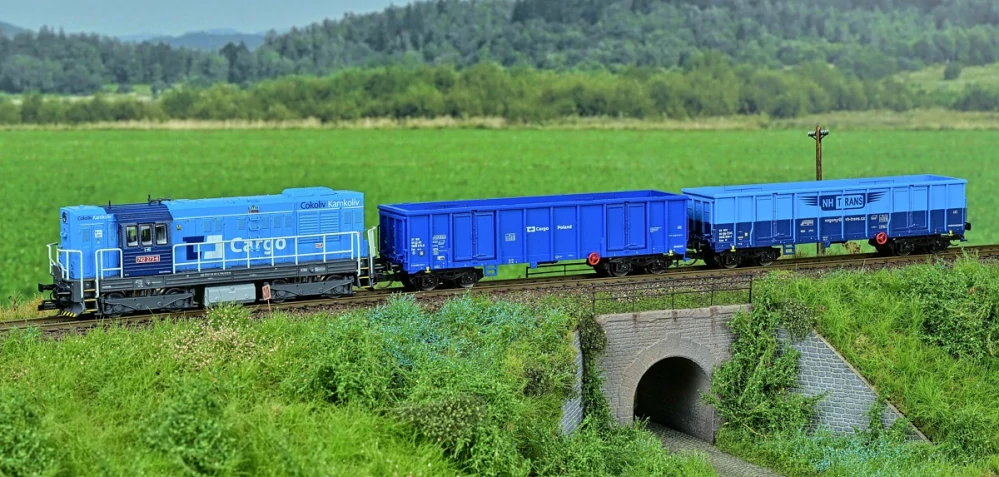 Set Eas ČD Cargo + Bangle 742.273 CDC