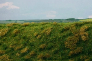 Model Scene Neudržovaná louka časné léto