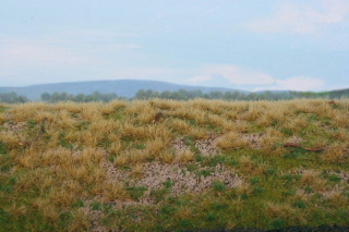 Model Scene Lesní základ borovicový les