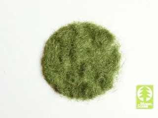 Model Scene Statická tráva 4,5 mm časné léto 50g