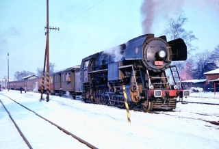 477.013 Papoušek H0