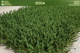 Kopřivy